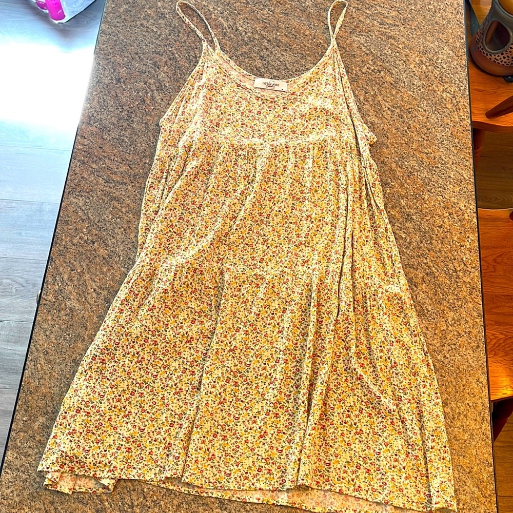Carly Jean Los Angeles Floral Dress